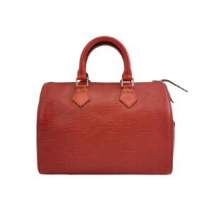 Louis Vuitton Speedy 25 Epi